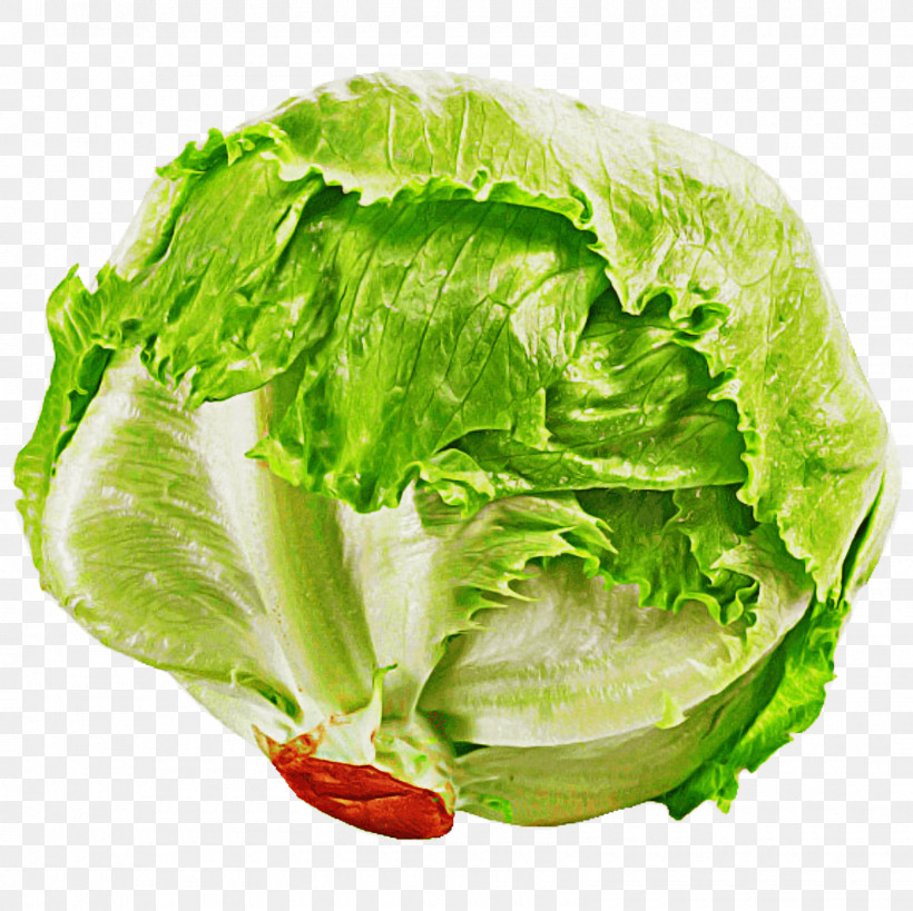 Leaf Vegetable Lettuce Vegetable Iceburg Lettuce Food, PNG, 1600x1600px, Leaf Vegetable, Cabbage, Food, Iceburg Lettuce, Leaf Download Free