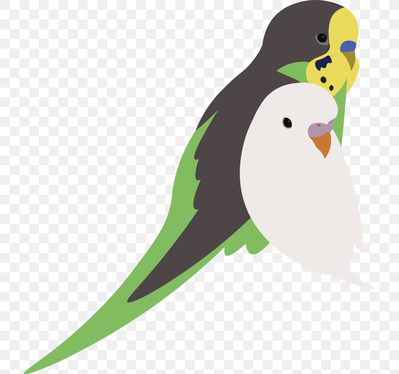 Parakeet Drawing Pet Clip Art, PNG, 721x769px, Parakeet, Agario, Beak, Bird, Common Pet Parakeet Download Free