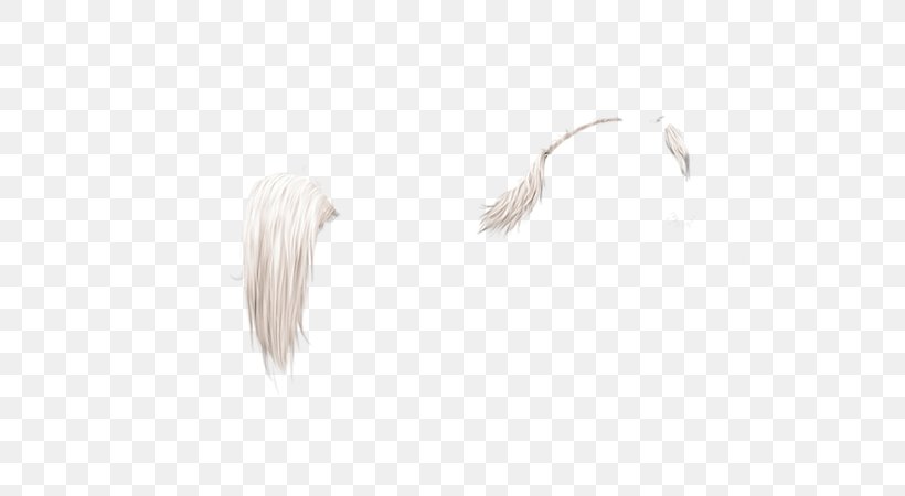 White Feather Neck, PNG, 600x450px, White, Black And White, Feather, Neck, Tail Download Free