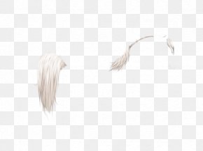 Arabian Horse - White Feather Neck PNG