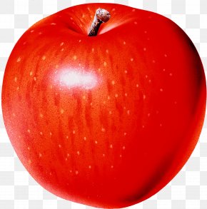 Apple Image Clipart Transparent Apple - Apple Clip Art PNG