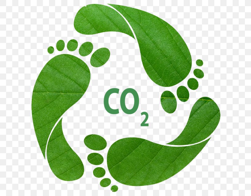 Earth Overshoot Day Ecological Footprint Carbon Footprint Ecology, PNG, 629x640px, Earth Overshoot Day, Carbon Footprint, Carbon Neutrality, Ecological Footprint, Ecology Download Free