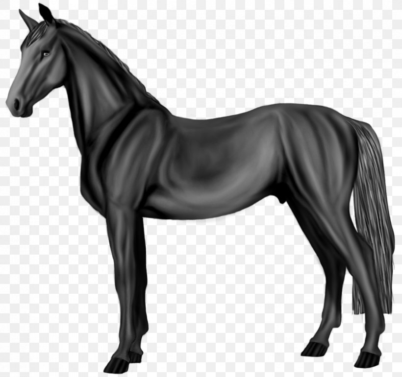 Mane Akhal-Teke Pony Mustang Grayscale, PNG, 823x773px, Mane, Akhalteke, Animal Figure, Bit, Black And White Download Free