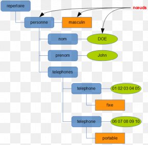 Tree - Structurez Vos DonnÃ©es Avec XML Attribute Application Programming Interface Document Object Model PNG