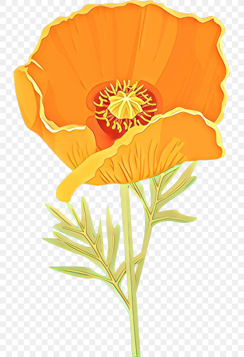 Orange, PNG, 727x1200px, Flower, English Marigold, Eschscholzia Californica, Orange, Plant Download Free