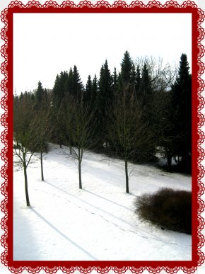 Saint Nicholas Day - Santa Claus Saint Nicholas Day 6 December Fir Christmas Tree PNG
