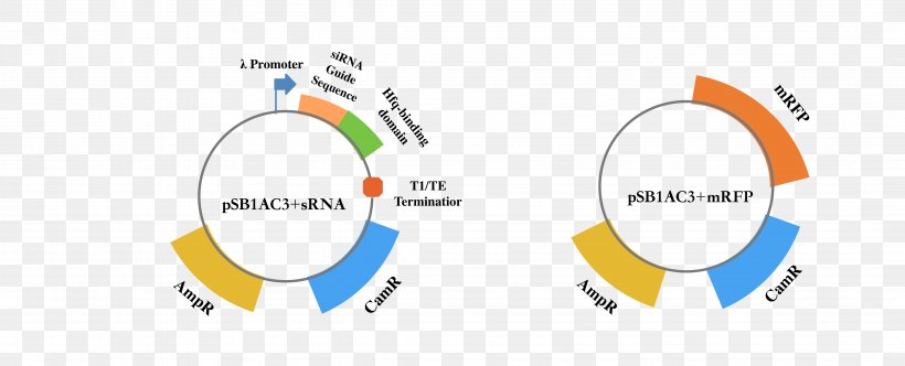 Brand Logo Technology Line, PNG, 4322x1754px, Brand, Communication, Diagram, Logo, Organization Download Free