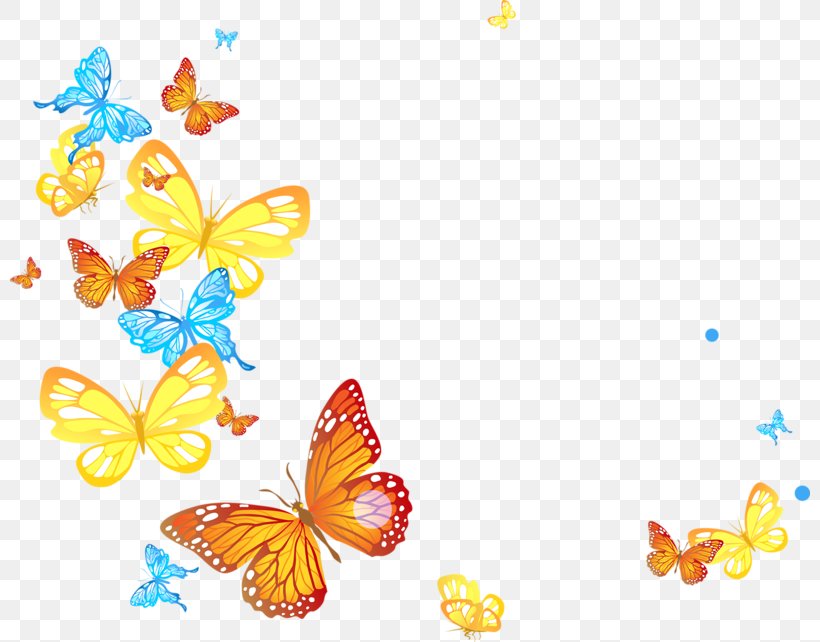 Butterfly Clip Art, PNG, 800x642px, Butterfly, Animal, Brush Footed Butterfly, Butterflies And Moths, Digital Image Download Free