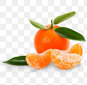 Halo-halo Mandarin Orange Tangerine Clementine, PNG ...