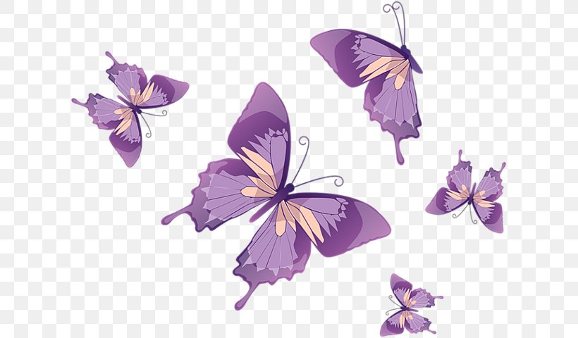Butterfly Vector Graphics Clip Art Stock Photography Image, PNG, 619x480px, Butterfly, Arthropod, Brush Footed Butterfly, Flora, Flower Download Free