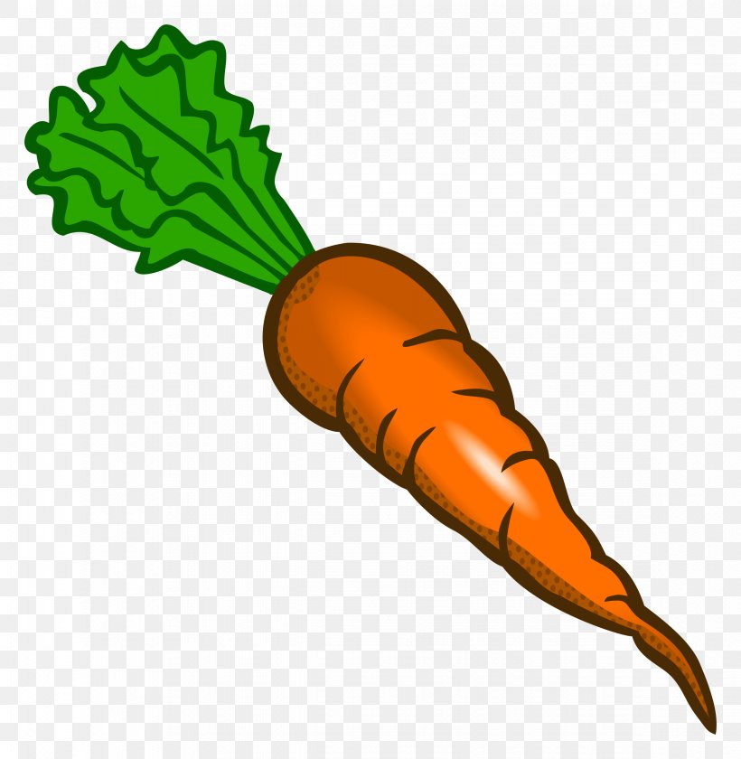 Carrot Food Vegetable Clip Art, PNG, 2342x2400px, Carrot, Artwork, Food, Organism, Plant Stem Download Free