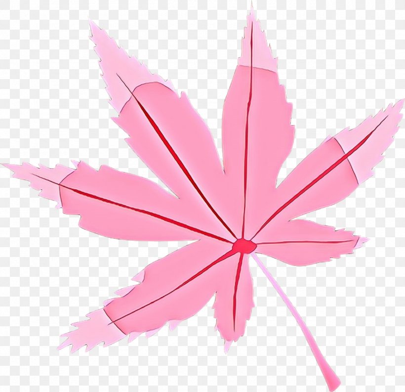 Pink Flower Cartoon, PNG, 1280x1238px, Maple Leaf, Flower, Leaf, Maple, Petal Download Free