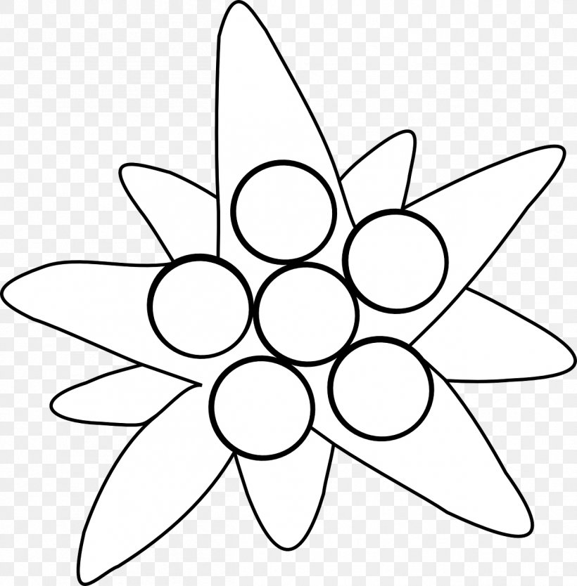 Symmetry Line Art Point Pattern, PNG, 1258x1280px, Symmetry, Area, Black And White, Flower, Leaf Download Free