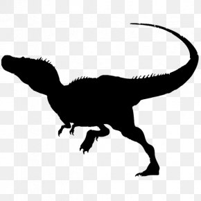 Tyrannosaurus Velociraptor Vector Graphics Dinosaur T-shirt PNG