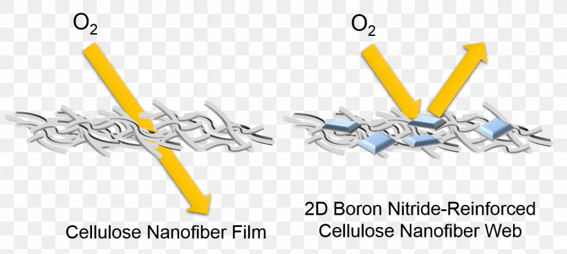 Boron Nitride Nanosheet Nanofiber Cellulose, PNG, 1282x574px, Boron Nitride Nanosheet, Animal, Body Jewelry, Boron, Boron Nitride Download Free
