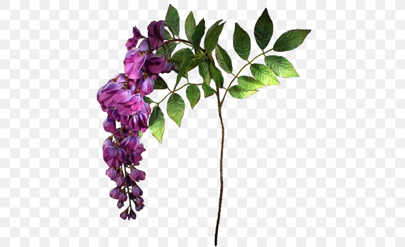 Flower Blue Violet Mauve Purple, PNG, 500x500px, Flower, Blue, Branch, Color, Cut Flowers Download Free