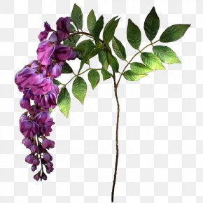 Flower - Flower Blue Violet Mauve Purple PNG