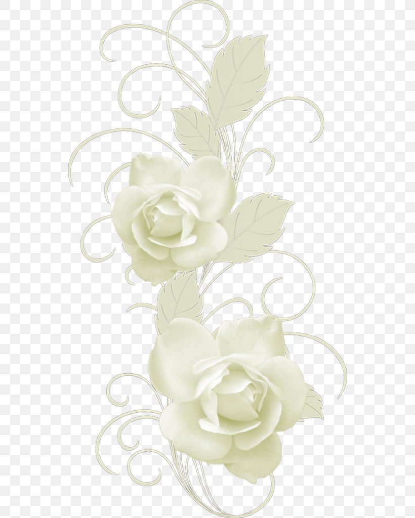 Garden Roses Floral Design Cut Flowers Ho Amato Una Transessuale, PNG, 551x1024px, Garden Roses, Artificial Flower, Book, Cut Flowers, Flora Download Free