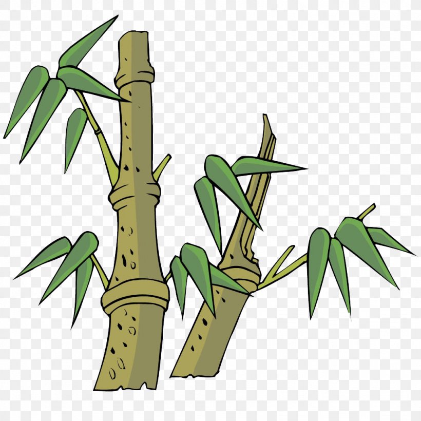 Bamboo Cartoon Drawing, PNG, 1024x1024px, Bamboo, Art, Bambusa Oldhamii, Cartoon, Chinoiserie Download Free