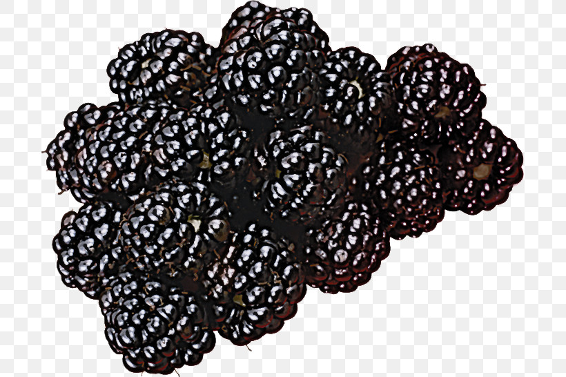 Berry Plant Blackberry Fruit, PNG, 699x546px, Berry, Blackberry, Fruit, Plant Download Free