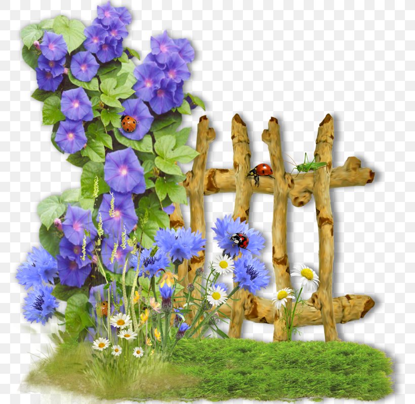 Flower Clip Art Image Design, PNG, 800x800px, Flower, Bluebonnet, Cut Flowers, Fence, Floral Design Download Free