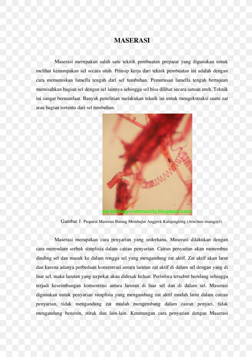 Organism Proposal, PNG, 1653x2339px, Organism, Proposal, Text Download Free