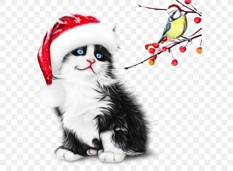 Santa Claus, PNG, 600x600px, Watercolor, Cat, Christmas, Kitten, Paint Download Free