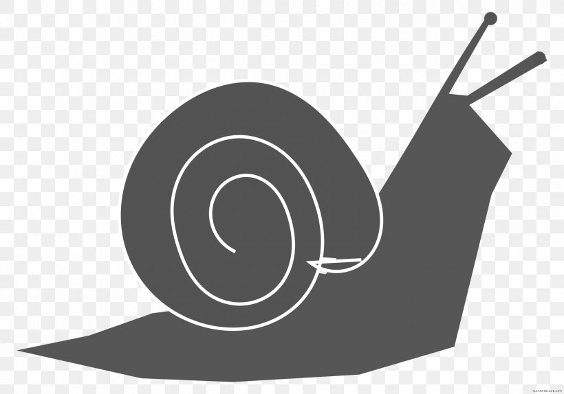 Snail Clip Art Slug Drawing Favicon, PNG, 2400x1680px, Snail, Arm, Black And White, Brand, Drawing Download Free