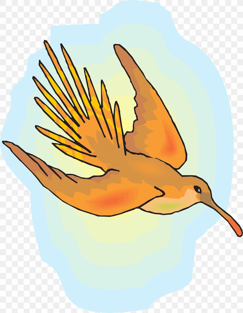 Hummingbird Flight, PNG, 994x1280px, Bird, Art, Beak, Duck, Ducks Geese And Swans Download Free