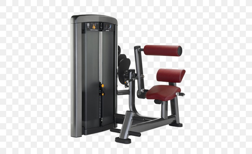 Hyperextension Exercise Equipment Life Fitness Roman Chair Fitness Centre, PNG, 500x500px, Hyperextension, Bench, Biceps Curl, Dip, Dumbbell Download Free