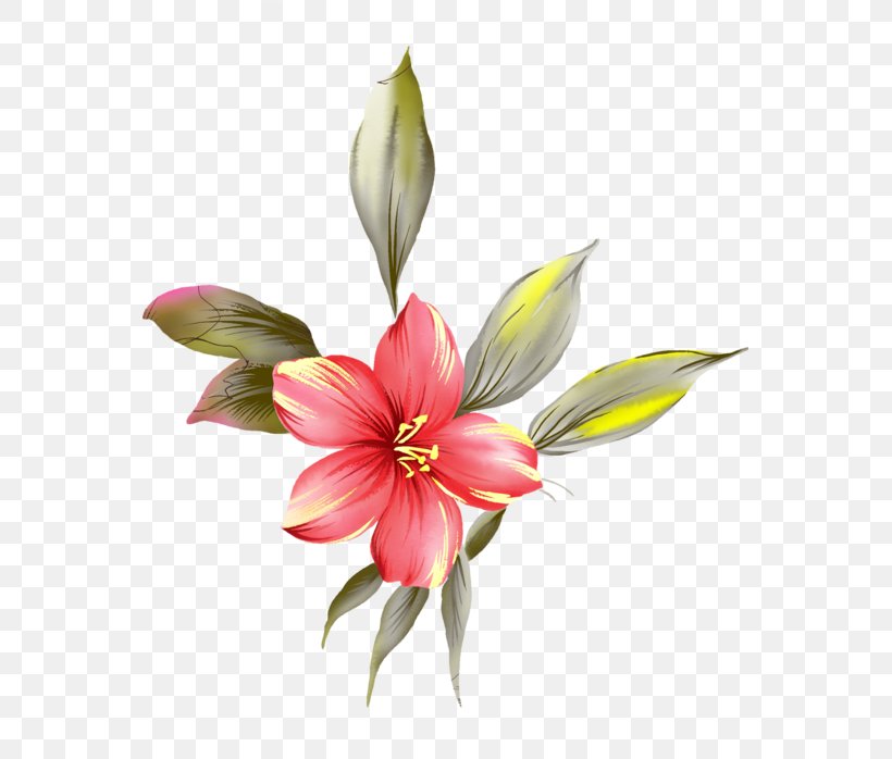 Clip Art Image Vector Graphics, PNG, 557x698px, Rosemallows, Artificial Flower, Cut Flowers, Drawing, Floral Design Download Free