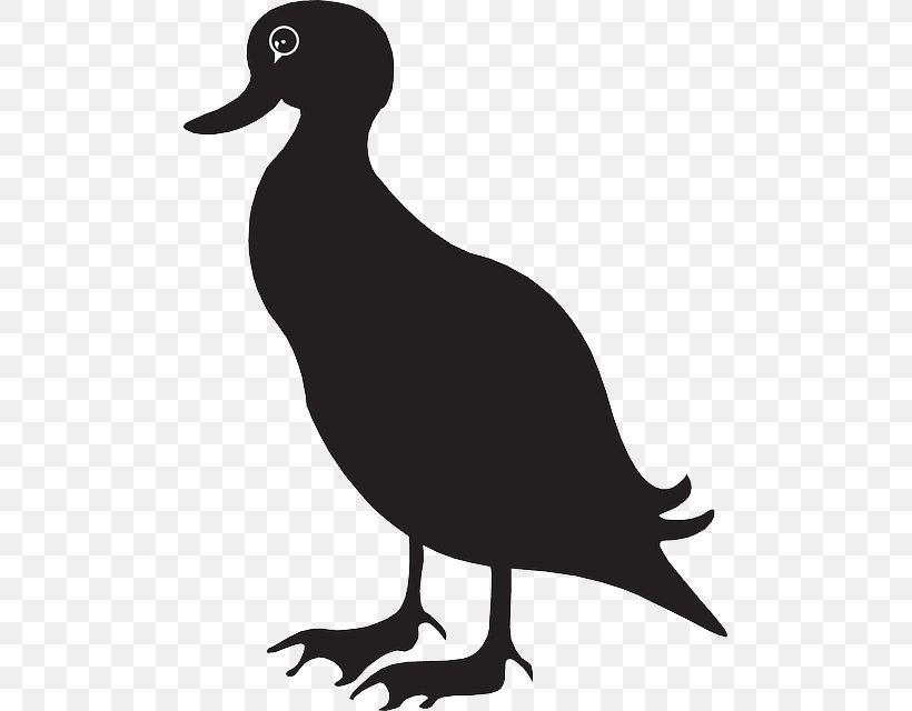 American Black Duck Mallard American Pekin Clip Art, PNG, 489x640px, Duck, American Black Duck, American Pekin, Anas, Beak Download Free
