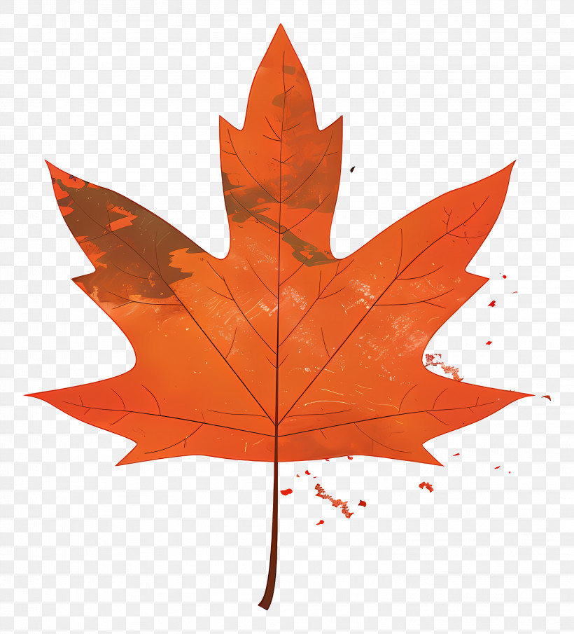 Autumn Maple Leaf - Orange Maple Leaf For Autumn Theme PNG