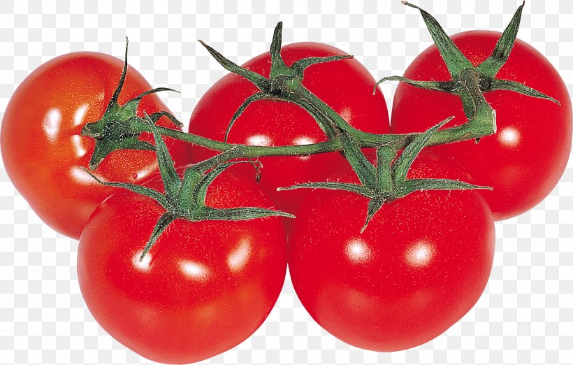 Cherry Tomato Vegetable Clip Art, PNG, 1834x1169px, Cherry Tomato, Bush Tomato, Cherry, Corps Badge, Depositfiles Download Free