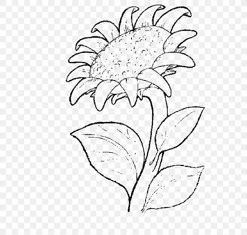 Drawing Coloring Book Common Sunflower Painting, PNG, 600x781px, Drawing, Adult, Art, Artwork, Ausmalbild Download Free