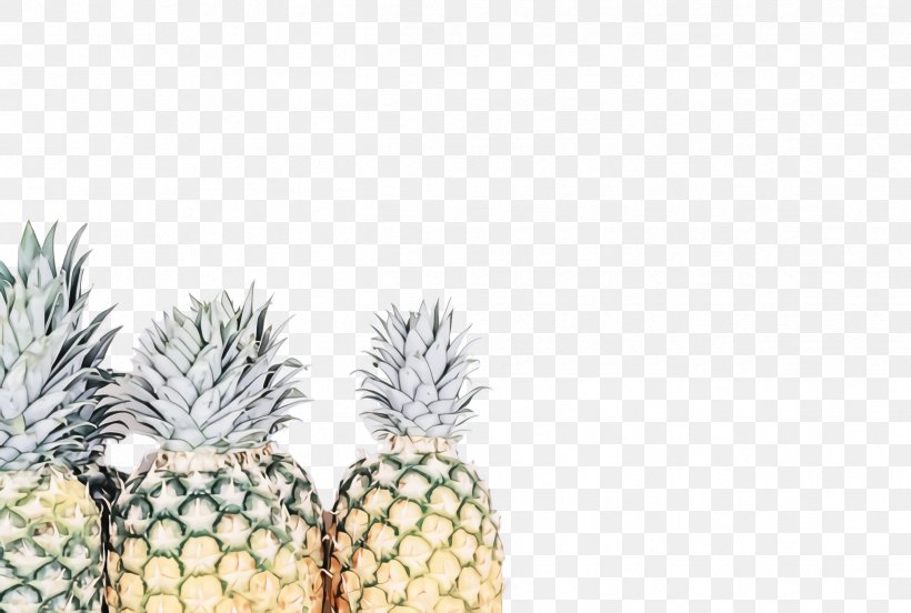 Pineapple, PNG, 2436x1640px, Pineapple, Ananas, Food, Fruit, Plant Download Free