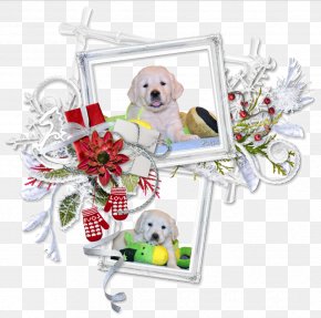 Puppy - Puppy Centerblog Christmas Message PNG