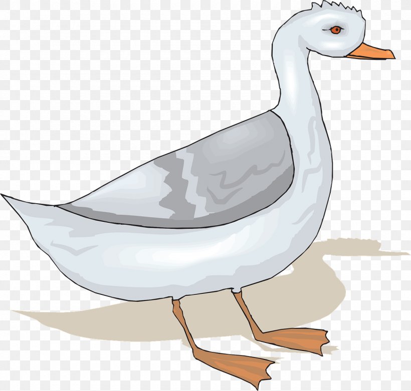 Goose Bird Clip Art, PNG, 1280x1220px, Goose, Beak, Bird, Cartoon, Duck Download Free