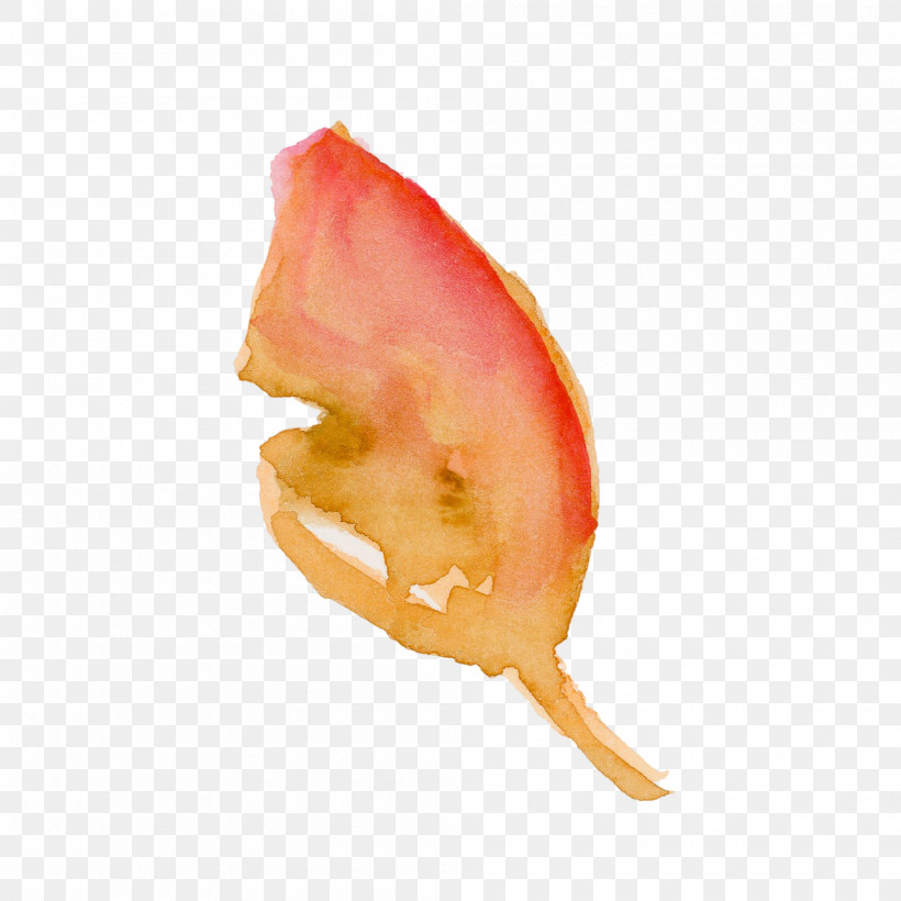 Orange, PNG, 2000x2000px, Watercolor Leaf, Food, Orange, Plant Download Free
