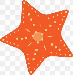 Cartoon Starfish - Starfish Vector Graphics Image PNG