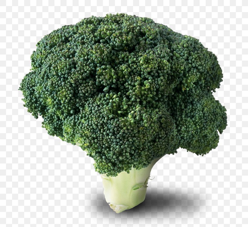ABC Lavpris Broccoli Cruciferous Vegetables Food, PNG, 750x750px, Broccoli, Brassica, Cabbage Family, Cauliflower, Cruciferous Vegetables Download Free