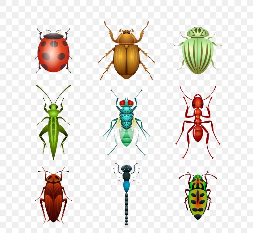 Beetle Euclidean Vector Sticker Ladybird, PNG, 800x756px, Beetle, Animal, Arthropod, Bee, Drawing Download Free