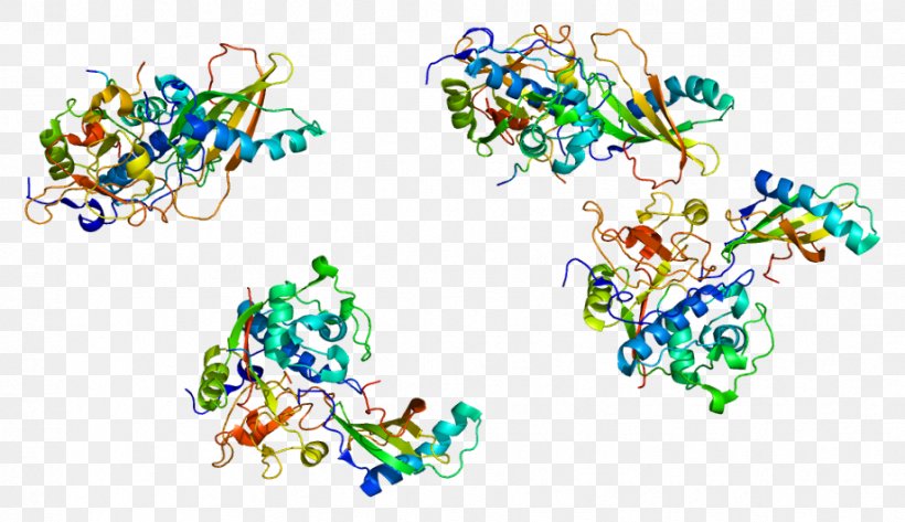 Cathepsin H Cathepsin G Protein Enzyme Inhibitor, PNG, 919x531px, Cathepsin, Area, Art, Body Jewelry, Cysteine Download Free