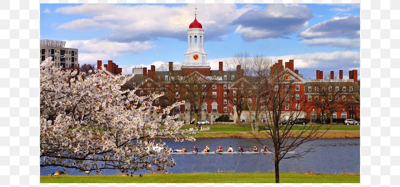 Harvard College University Ivy League Financial Endowment, PNG, 800x384px, Harvard College, Campus, City, College, Financial Endowment Download Free