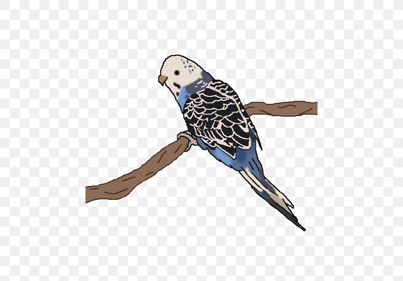 Owl Cobalt Blue Feather Beak Parakeet, PNG, 472x571px, Owl, Beak, Bird, Bird Of Prey, Blue Download Free