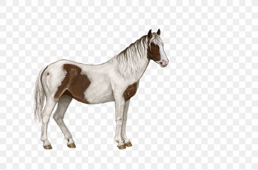 Horse Rein Foal Colt Halter, PNG, 1280x847px, Horse, Animal Figure, Bridle, Colt, Drawing Download Free