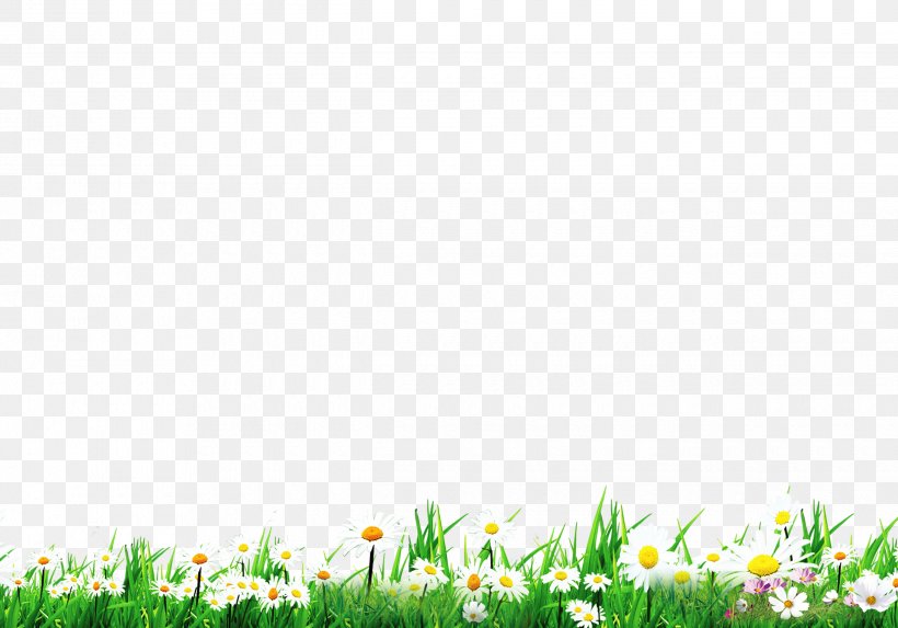 Lawn Green Download Wallpaper, PNG, 2480x1735px, Lawn, Google Images, Grass, Grassland, Green Download Free