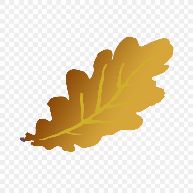 Leaf Drawing Abscission Photography Clip Art, PNG, 1772x1772px, Leaf, Abscission, Autumn, Child, Coloring Book Download Free