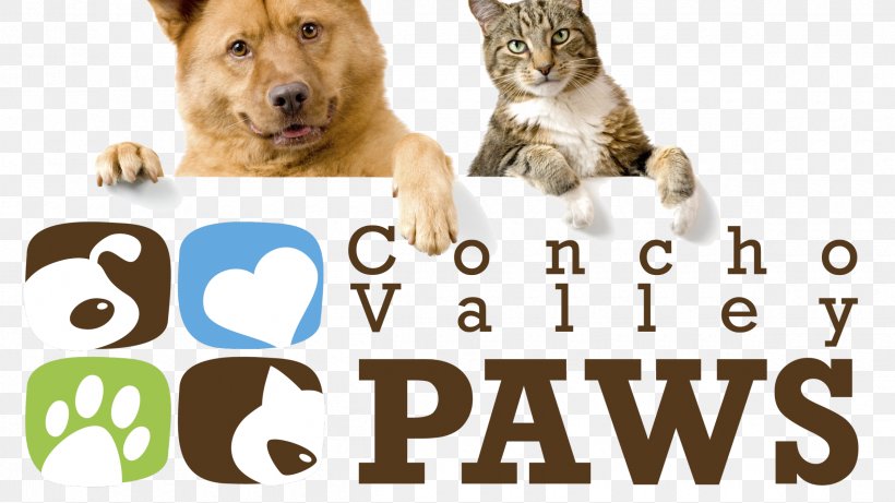 Dog Cat Pet Sitting Puppy, PNG, 2400x1350px, Dog, Big Cats, Carnivoran, Cat, Cat Health Download Free
