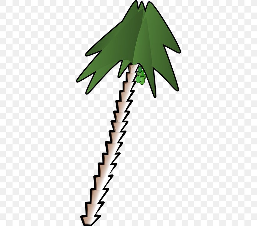 Clip Art Vector Graphics Image Palm Trees, PNG, 360x720px, Palm Trees, Artwork, Beak, Branch, Claw Download Free